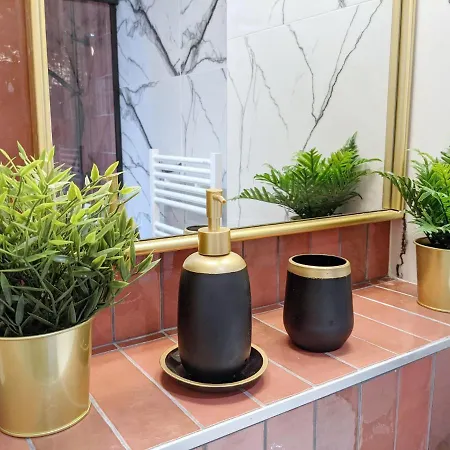 Apartmán Reves Paisibles Rubis - Choisy-le-Roi